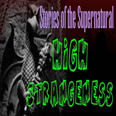 High Strangeness | Interview with Susan Demeter St. Clair | Podcast