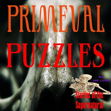 Primeval Puzzles | Interview with Brien Foerster | Podcast