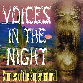 Voices in the Night | Interview with Samantha Gollakner | Podcast
